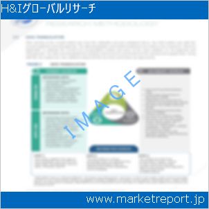 市場と産業調査レポートのイメージ